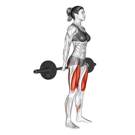 Barbell Hack Squat: 4 Major Benefits and Muscles Worked - Inspire US