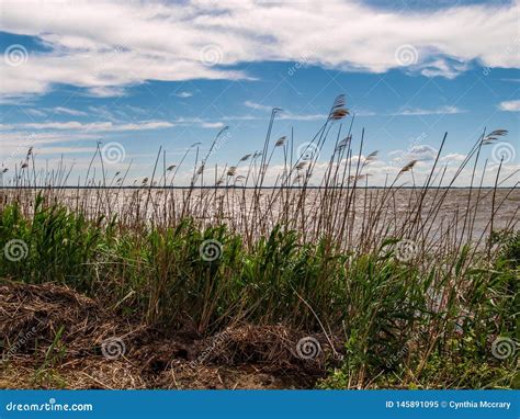 Pamlico Sound on North Carolina Outer Banks Stock Image - Image of ...