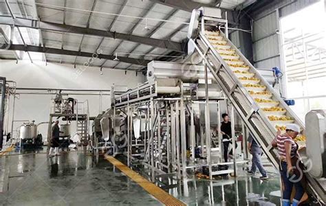 Mango Pulp Process 的图像结果