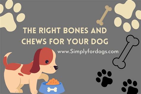 How To Get Dogs To Chew Bones at John Cargill blog