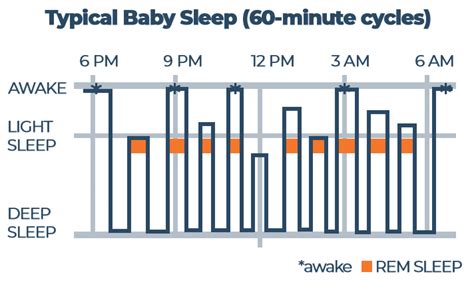 8 Month Sleep Regression