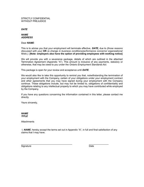 17+ Employee Termination Letter Examples to Download