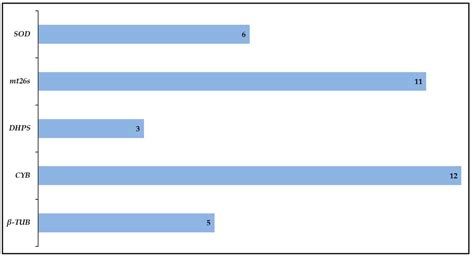Consensus Multilocus Sequence Typing Scheme for Pneumocystis jirovecii