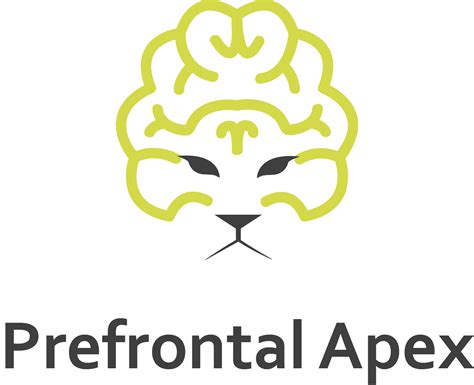 Image result for Prefrontal Cortex Exercises