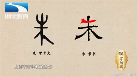 族谱的传承：宁化木活字印刷|文章|中国国家地理网