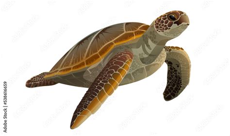 Image result for MagicPad Sea Turtle