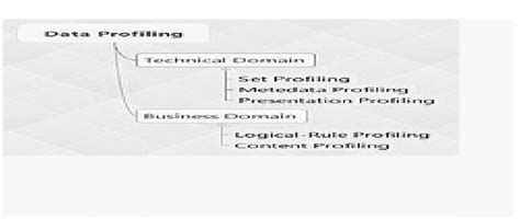 Image result for Data Profiling Techniques