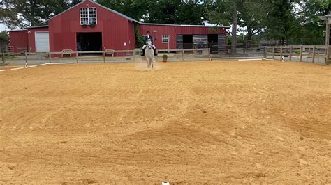 Image result for USDF Intro Test A