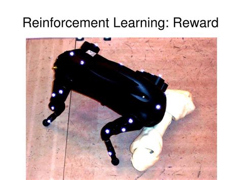 Test Recap 的图像结果