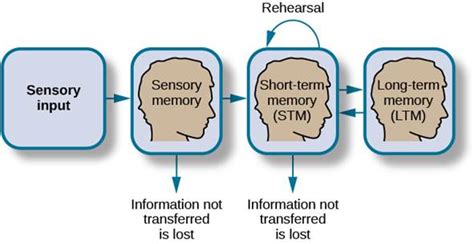 Unit 4: Psychological processes and their Implications for Children ...
