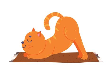 Funny red cat animal on yoga mat practicing asana and stretching vector ...
