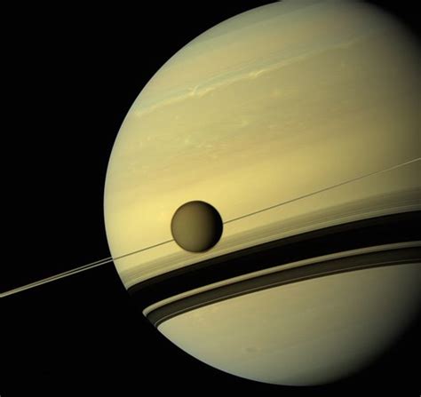 Image result for Alienigenas 2020