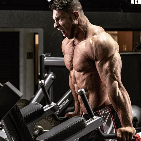 Dino Simulator Megavore Promo Code 的图像结果