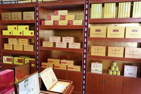 岳阳茶产办160万奖补企业 确保年生产加工8000吨黄茶_茶闻_湘茶频道