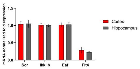 Neuroprotective Effect of Kinase Inhibition in Ischemic Factor Modeling ...