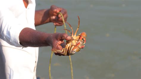 Native Experience in Kerala | Experiential Tour Packages in Kerala ...