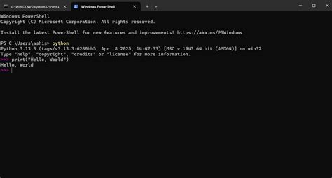 Python Code Execution 的图像结果