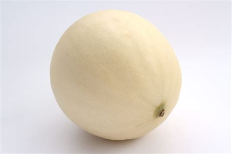Image result for melon