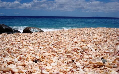 Image result for Shell Beach Wa