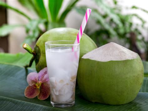Tender coconut water: Benefits and precautions you should know - Times ...