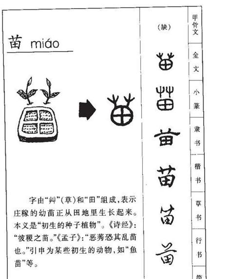 水处理公司取名_公司店铺起名_安康起名网免费取名