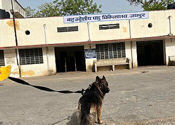 3 Best Veterinary Hospitals in Jaipur, RJ - Expert Recommendations