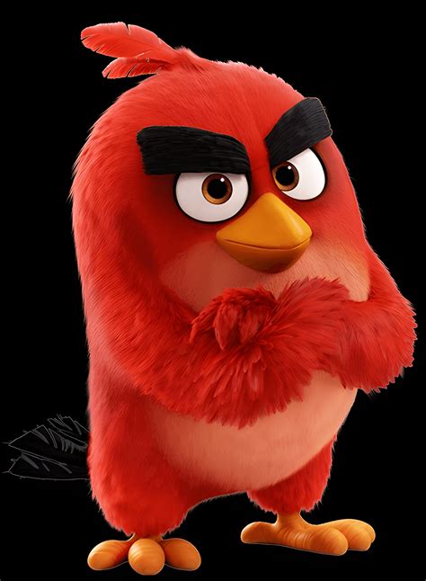 Angry Birds Red Png