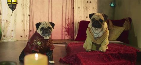This Video Of Pugs Dressed As Game Of Thrones Characters Is The Coolest ...