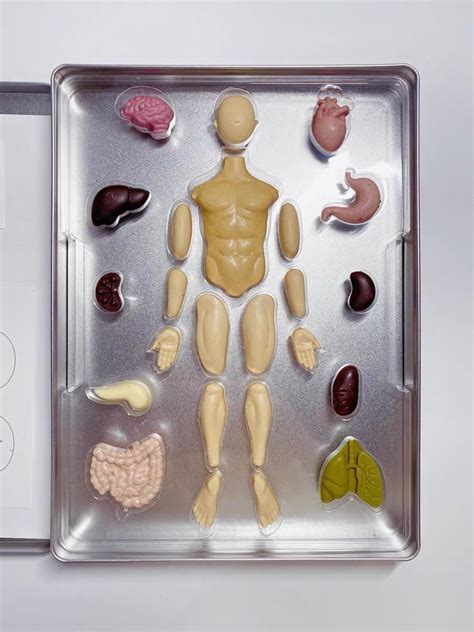 Image result for Human Chocolate HowToBasic