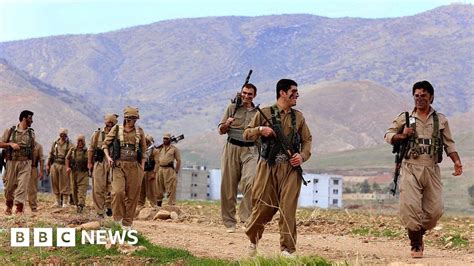 Hundreds of Kurdish fighters launch ground offensive in Iran, officials deny reports Minimalist