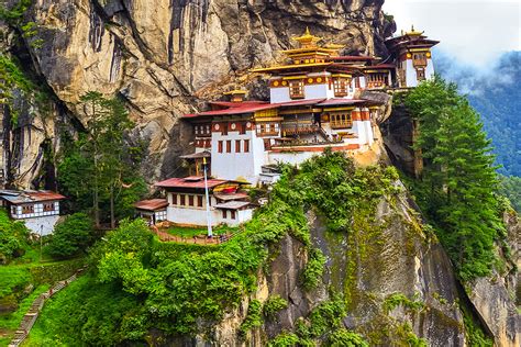 Image result for Bhutan Python Coders