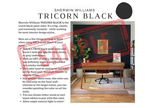 Image result for What Color Is Shell