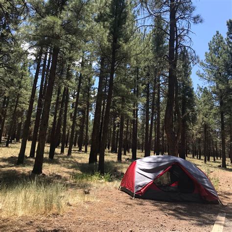 Kaibab National Forest Kaibab Lake Campground | The Dyrt
