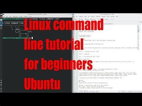 Command Line Tutorial 的图像结果