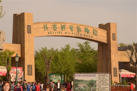 北京野生动物园游览攻略，建议收藏 - 知乎