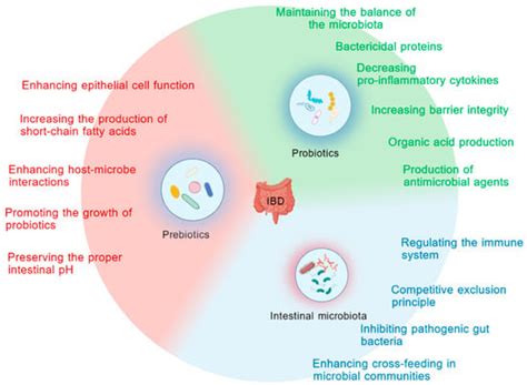 Drosophila: An Important Model for Exploring the Pathways of ...