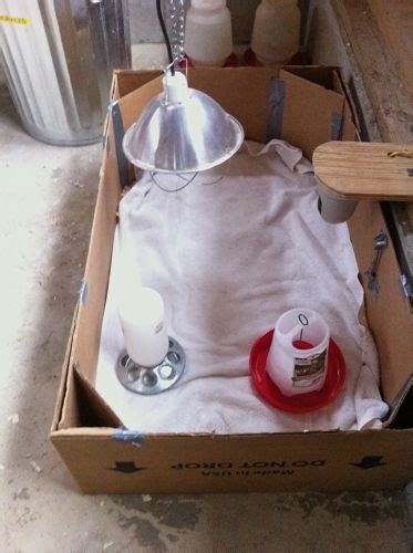 Image result for What Is Panel Brooder