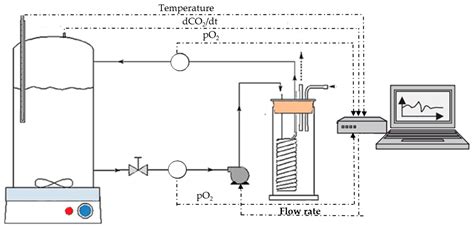 Study of Oenological Fermentation: Which Strategy and Which Tools?