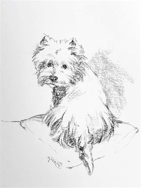 Image result for Small Dog Drawing