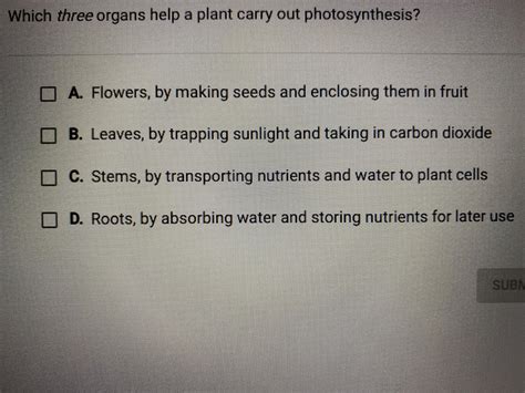 Which three organs help a plant carry out photosynthesis? - brainly.com