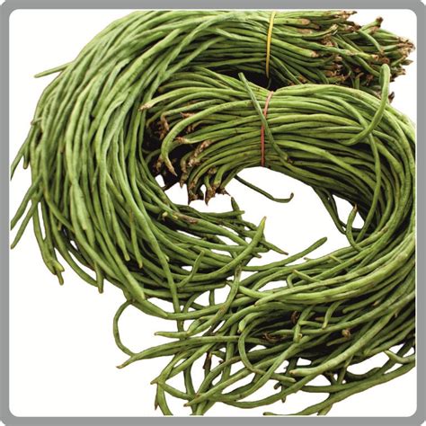 Growing Practices | TIPL