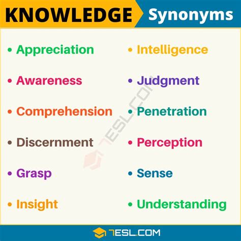 150+ Synonyms for "Knowledge" with Examples | Another Word for ...