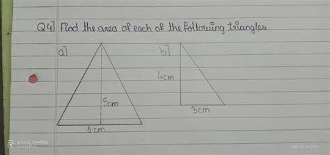 Plz answer this question fast. SPAM WILL BE REPORTED. - Brainly.in