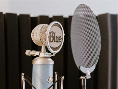 Image result for Microphone Types