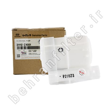 Code C1001 的图像结果