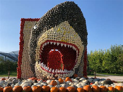 Herbstzauber auf dem Bächlihof: Kürbisse, Kunst und Familienerlebnisse