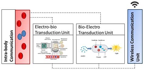 Hybrid Deep Learning Techniques for Securing Bioluminescent Interfaces ...