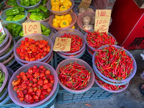 【龍之氣息】從零開始種出世界最"辣"！ 辣椒的名字好中二！聽說吃了會噴火？