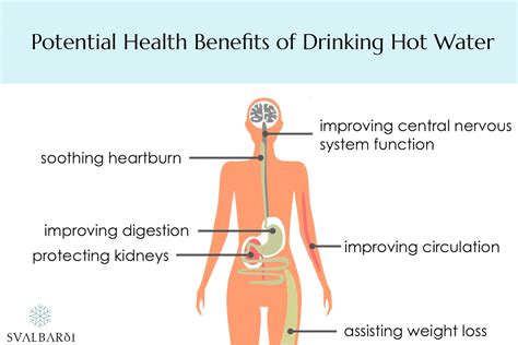Benefits Of Drinking Hot Springs Water at Bethany Knibbs blog