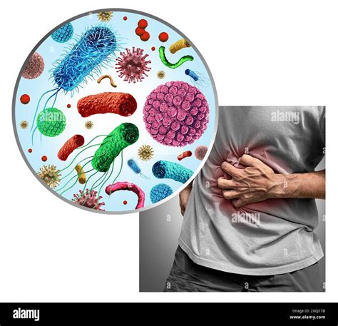 Gastroenteritis or a contagious gastro illness as a stomach flu and infection of the intestines ...